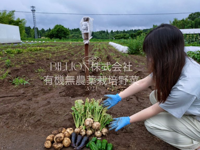 中途採用 ＳＮＳ広報担当者